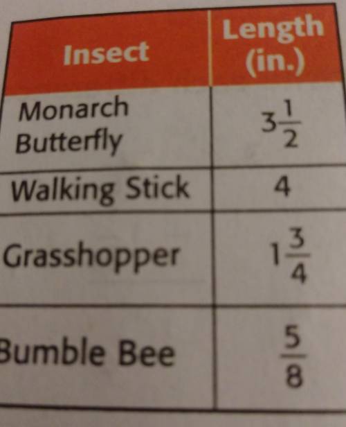 Find the difference in length between a walking stick and a bumblebee PLS HELP HURRY