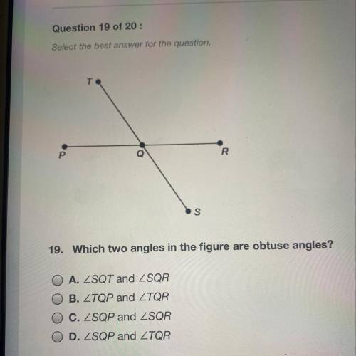 Which two angles in the figure are obtuse angles?
