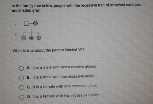 In the family tree below, people with the recessive trait of attached earlobesare shaded gray.What i