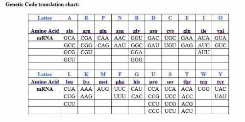 What would you translate these too based on the chart? (T T C) (G T A) (A T G) (G G T) and (C G T) P