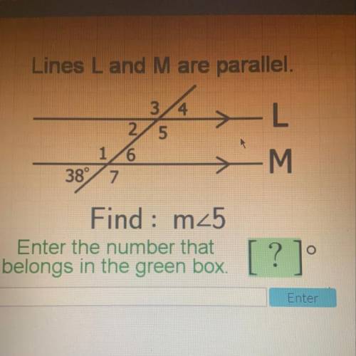 Lines L and M are parallel. Find : m_5 Enter the number that belongs in the green box.