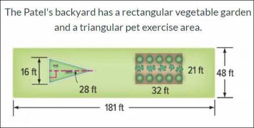 The total area that the rectangular vegetable garden and a triangular pet exercise area takes up is