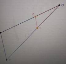 What is the length of segment OX'Explain and or show your work