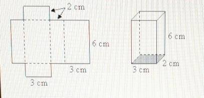1) The net represents the rectangular prism. The prism has how many faces?  A) 3  B) 5  C) 6  D) 8 2