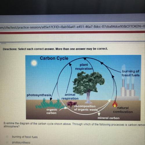 Examine the diagram of the carbon cycle shown above. through which of the following processes is car