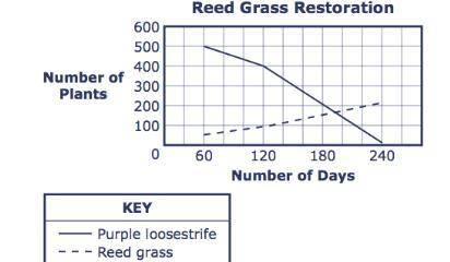 In a protected wetland the number of native reed grass has decreased. They are being taken over by a