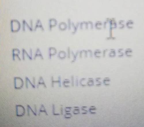 For replication of a single strand DNA sequence tac taa gca which of the following enzymes proofread