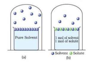 Use the model below to answer the question.  A. Student B says adding an ionic solute increases the