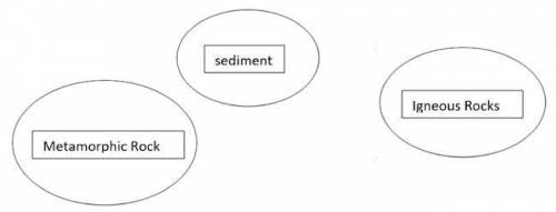 One student made the incomplete diagram shown below to represent the relationship between sediment,