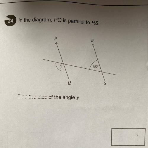 Help me find the size on angle y