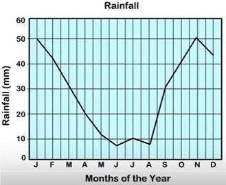 The graph shows rainfall over a period of 12 months. Based on the graph, which month shows the great