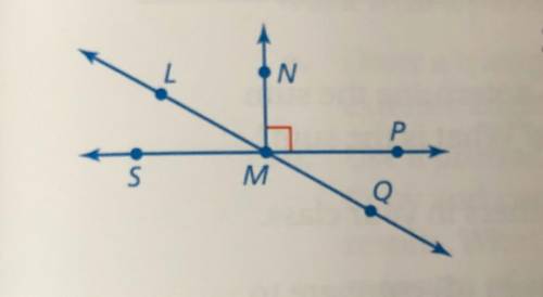 Your friend says that LMN and PMQ are complementary angles. Is she correct? Explain.