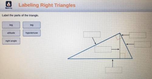 Label the parts of the triangle