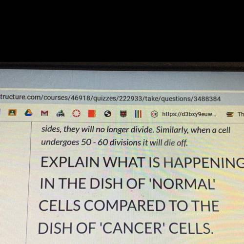 Explain what is happening in the dish of Normal cells compared to the fish of cancer cells