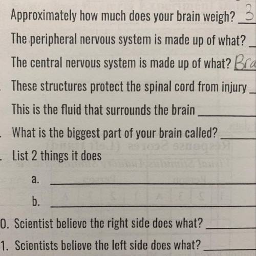 What is the biggest part of your brain called