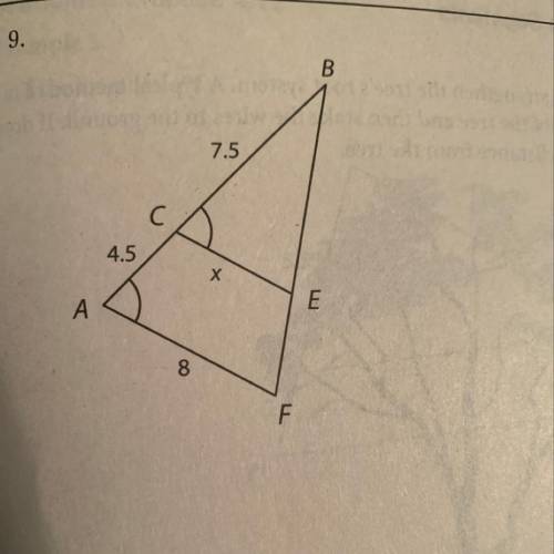 What is x I need help