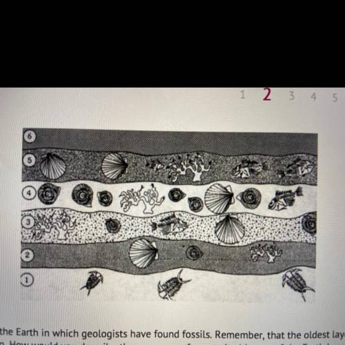 Review the ancient layers of the Earth in which geologists have found fossils. Remember, that the ol