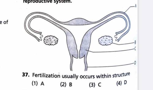 Fertilization usually occurs within structure