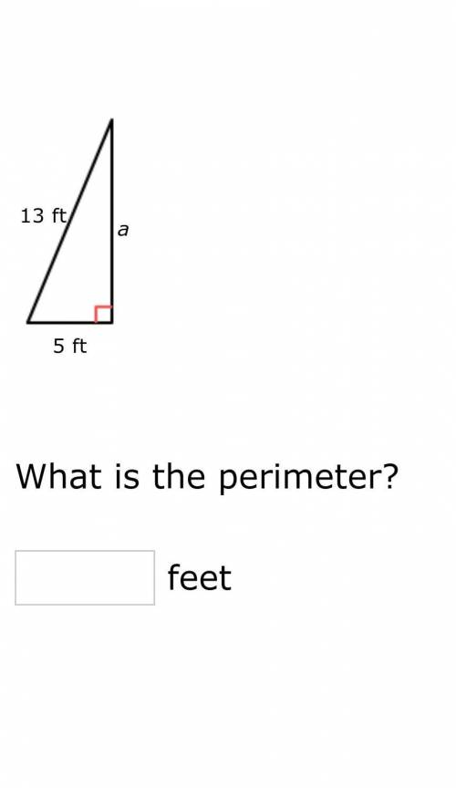 What is the perimeter of this triangle above?
