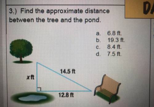 Find the approximate distance between the tree and the pond