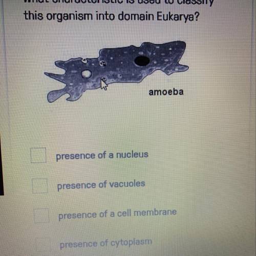 What characteristic is used to classify this organism into domain Eukarya?
