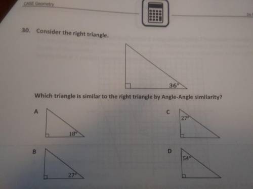 Which triangle is similar to the right triangle by Angle-Angle similarity?