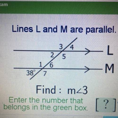 20 points !! lines L and M are parallel.
