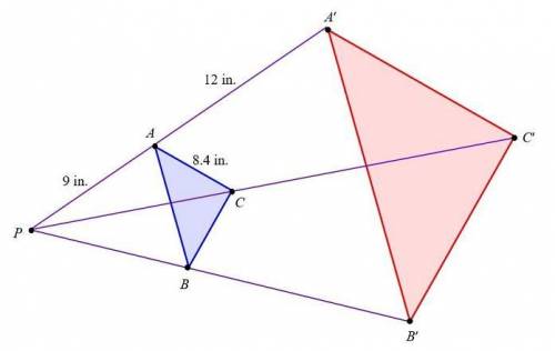 You are given the diagram below of a dilation of ΔABC Hint: What is the scale factor? Use it to find