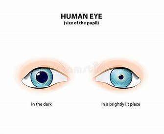 Write the difference betwewn the size of the pupil of an eye between the eye in the dim light and th