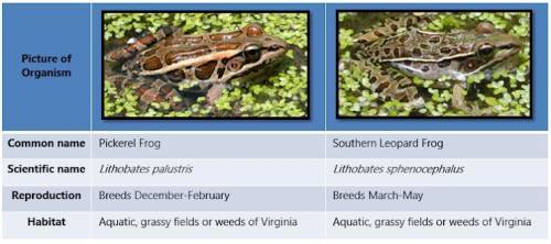 Use the table below to help you answer question. The frogs shown above do not interbreed because * a