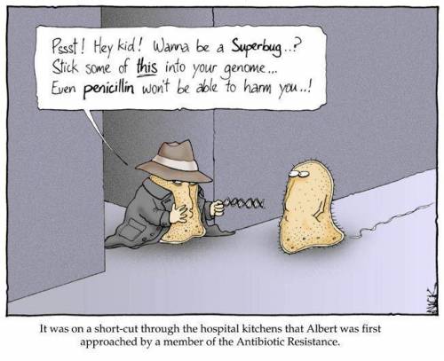 This cartoon jokes about the formation of superbugs; this is an example of natural selection, due to