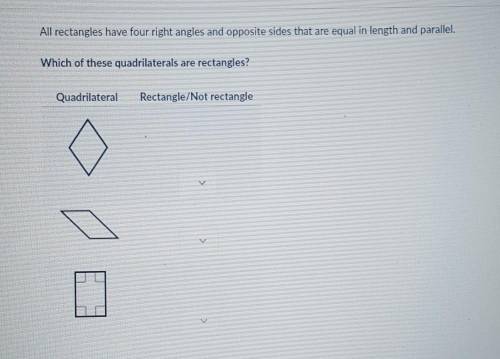 Please help quadrilateral types
