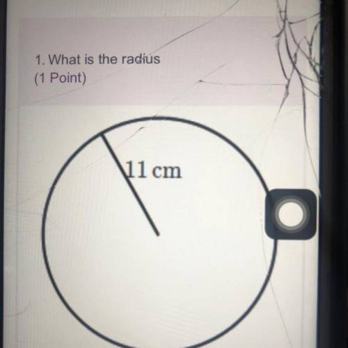 1. What is the radius (1 Point) 11 cm