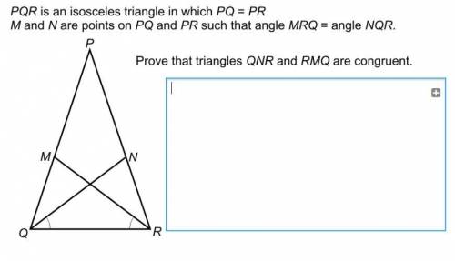 Congruent Triangles need