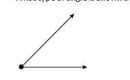 What type of angle is shown below? obtuse acute straight right