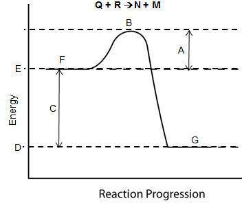 Consider the reaction pathway graph below. Which letter represents the activated complex?  A. A  B.