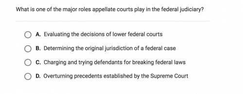 What is one major role appellate courts play in the federal judiciary