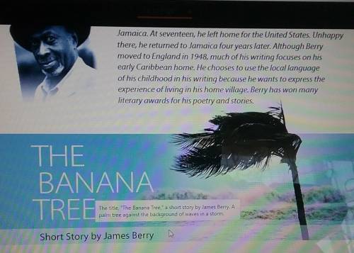 Who has read the story the banana treeif so comment down blow please answer as soon as possible