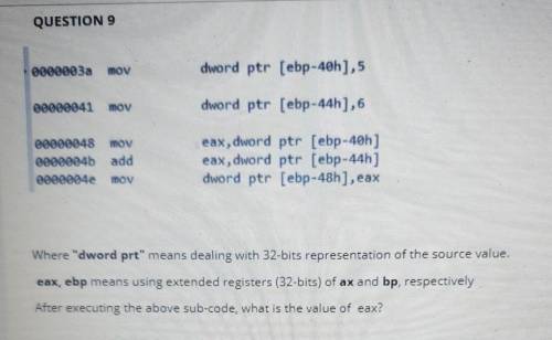 Can anyone expert in assembly language help me ?
