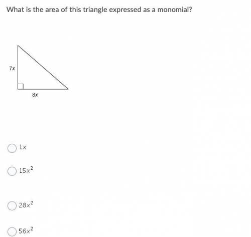 What is the area of a triangle expressed as a monomial