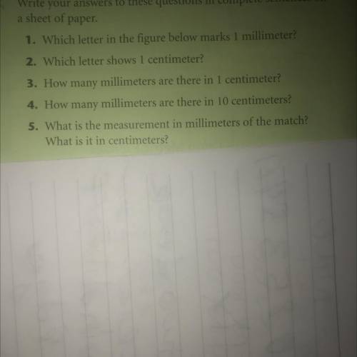 Pls help me idk these questions thanks