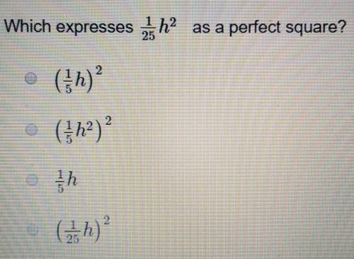 Factoring Polynomial question in image.