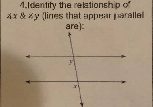 Identify the relationship of x & y (lines that appear parallel are):