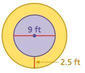 Find the circumferences of of both circles to the nearest hundredth.