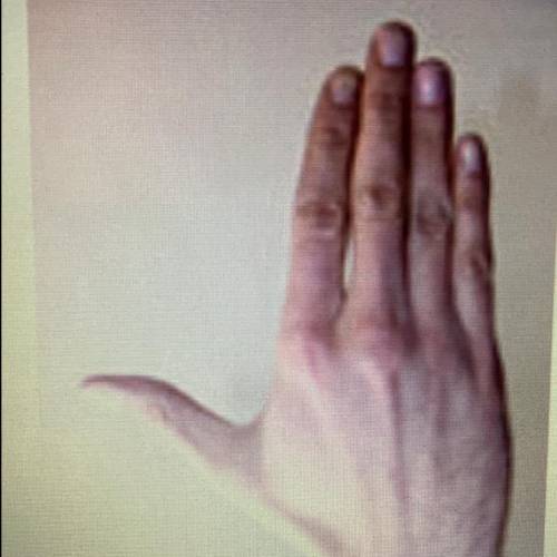 Which description best matches the image below of a hand that is using the right- hand palm rule? A.