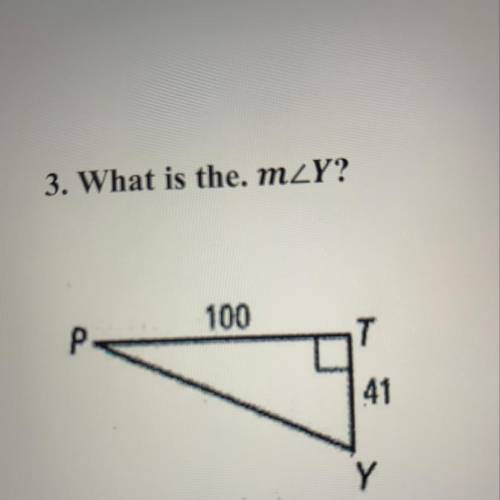 What is the Measure of angle Y