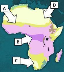 The Sahara Desert is located in which region on the map above?A.region AB.region BC.region C