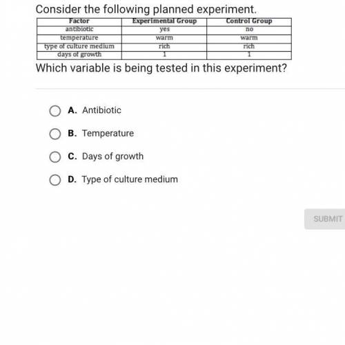 Which variable is being tested in this experiment?