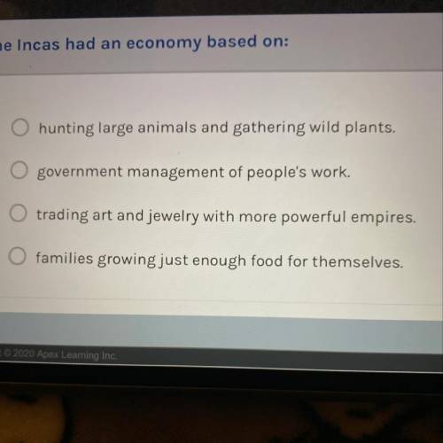 What was the Incas economy based on? (Which one)