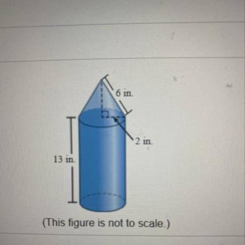 Anyone know surface area?